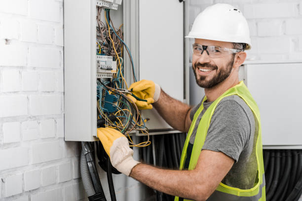 Best Electric Panel Repair  in Broxton, GA
